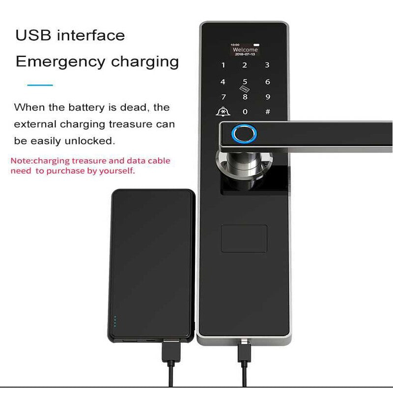 Yala smart D2 Tuya + broască 30×300 (cu/fără cârlige)
